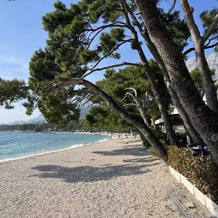 Leonardo * Makarska