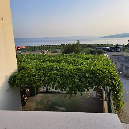 Leonardo * Makarska